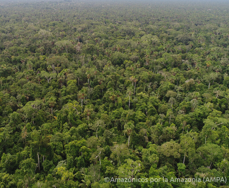 Aerial view of the Bajo Huallaga fragile ecosystem