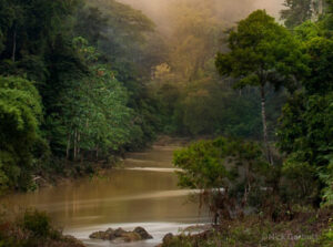 A view of the Danum Valley in Malaysian Borneo