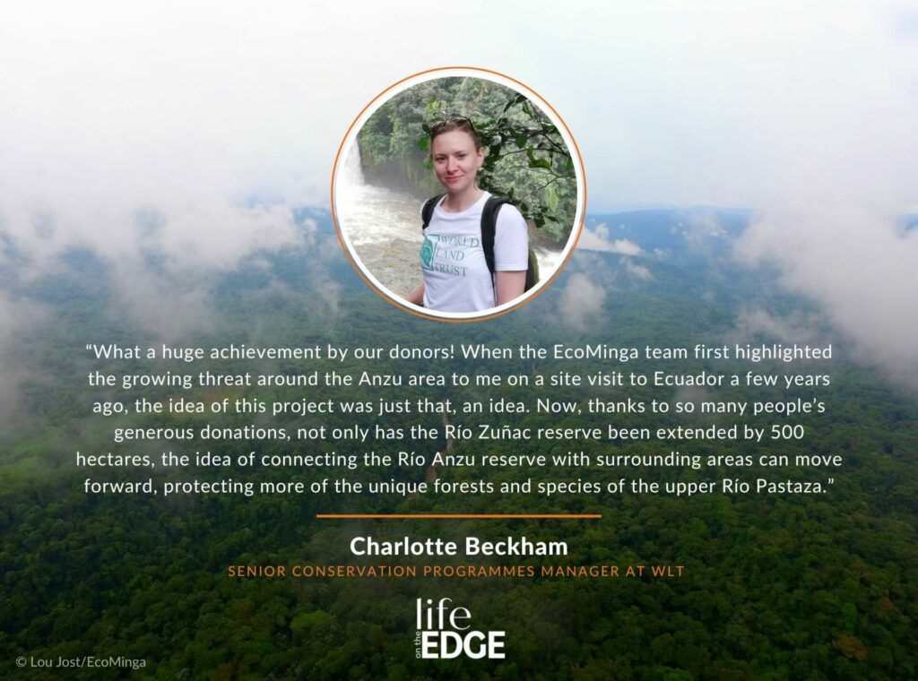 Quote by Charlotte Beckham