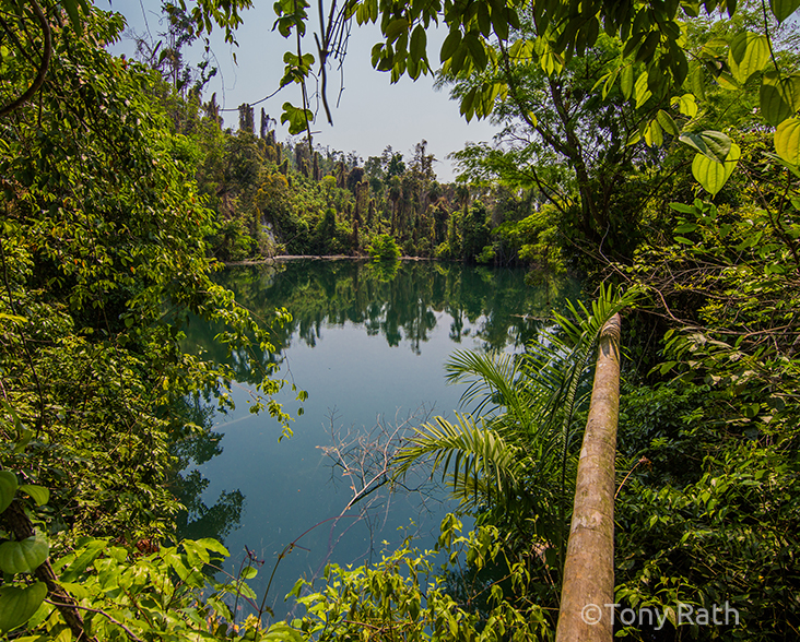 A view of a lake in the Maya Forest, Belize