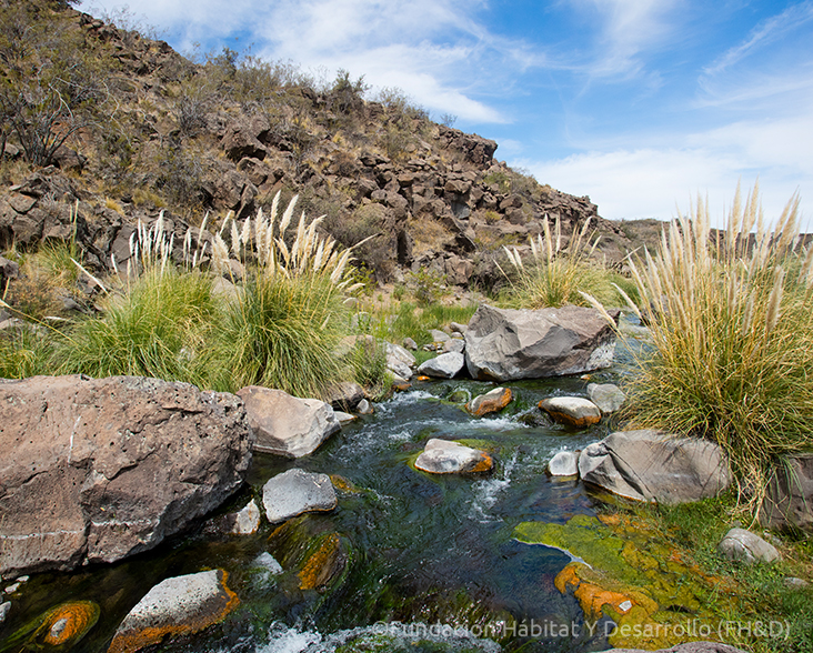 A view of a rocky stream on the Somuncurá Plateau