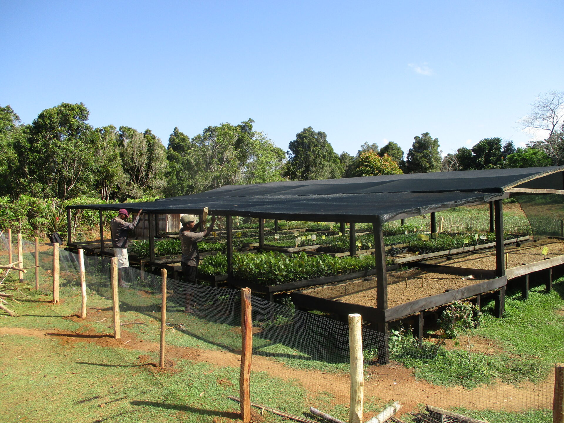 A plant nursery in Madagascar