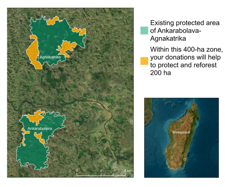 A Forest For The Future - Map