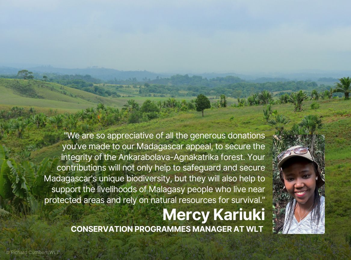 A quote from Mercy Kariuki thanking supporters for their donations to our Madagascar: A Forest for the Future appeal 