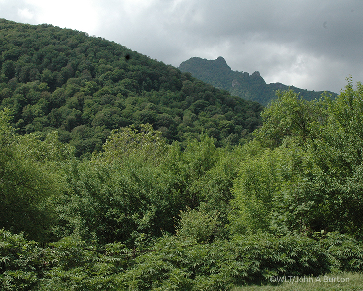 A view of an Armenian lanscape