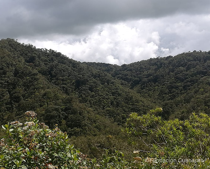 A view of the Guanacas reserve