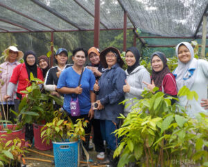 Female reforestation team in the HUTAN tree nursery