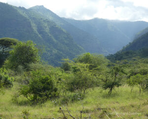 A view of Mount Moroto, Uganda