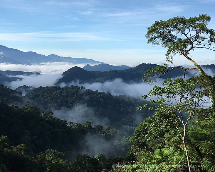 View-over-Khe-Nuoc-Trong-and-Bac-Huong-Hoa-Nature-Reserves