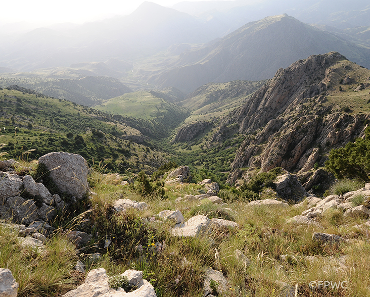 A view of the Caucasus Wildlife Refuge