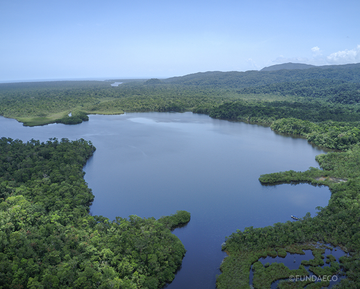 Aerial view of Laguna Grande