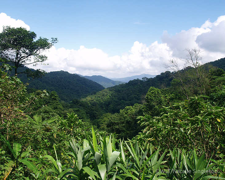 A view of Khe Nuoc Trong