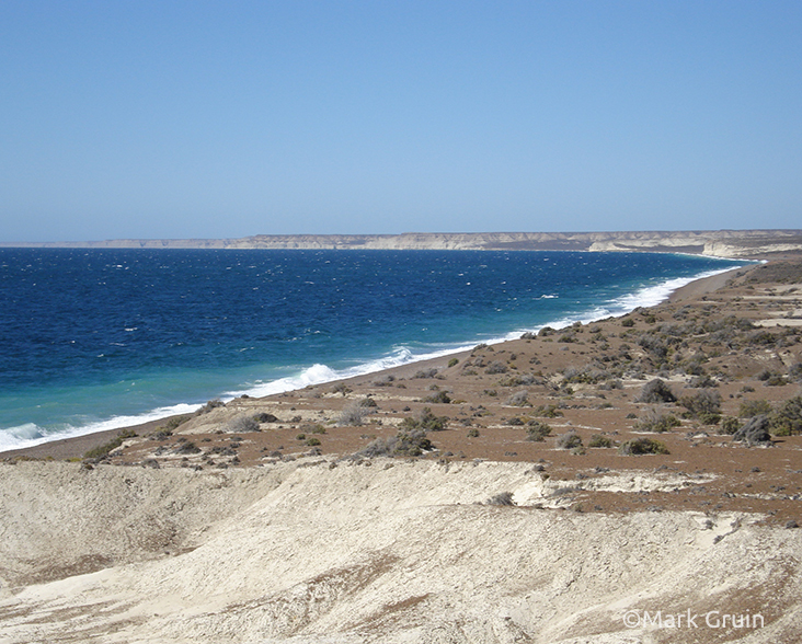 A view of coastline and coastal steppe habitat at La Esperanza, Patagonia