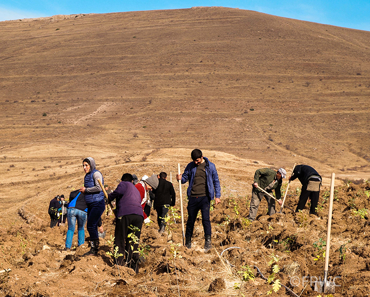 Tree planting in the Caucasus Wildlife Refuge