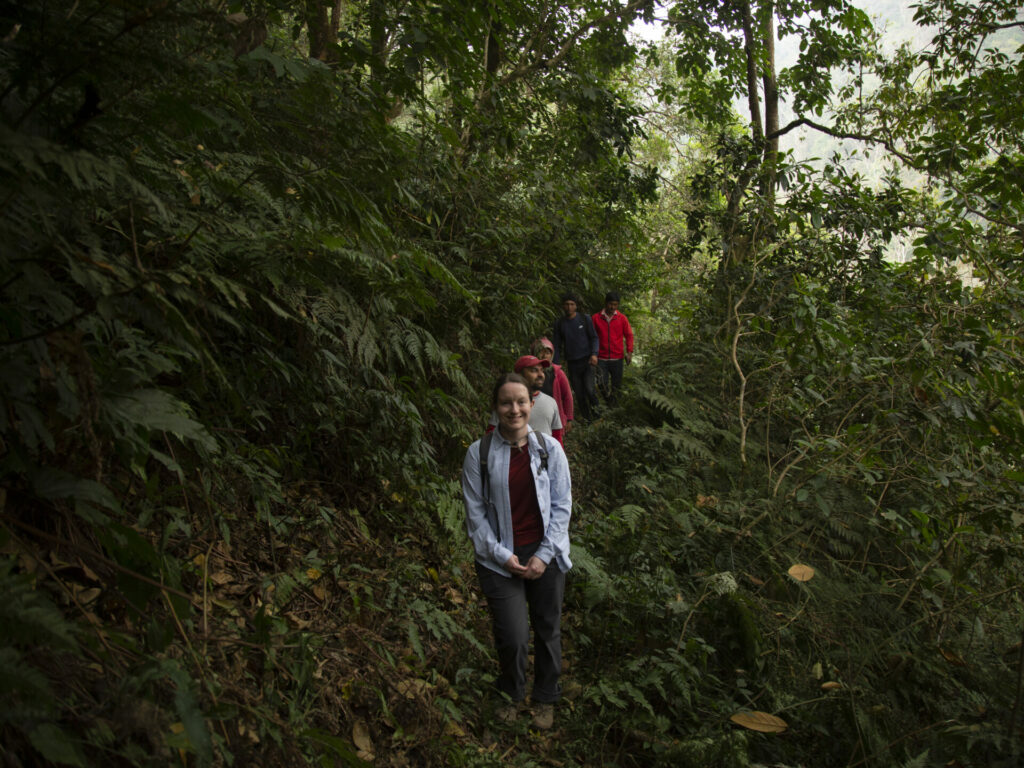 A group of people walk single file through a forest along a small narrow track.