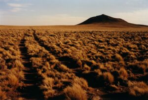 A vast plateau extends out to the horizon, with a large mound in the background. The terrain is dotted with small shrubs and the tyre tracks of a vehicle are marked on the ground and continue far into the distance.