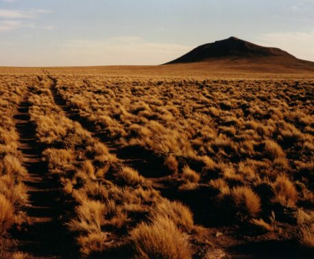 A vast plateau extends out to the horizon, with a large mound in the background. The terrain is dotted with small shrubs and the tyre tracks of a vehicle are marked on the ground and continue far into the distance.