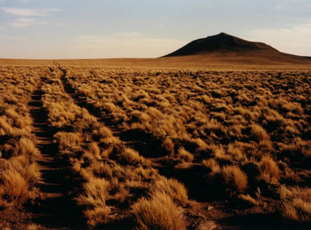 A vast plateau extends out to the horizon, with a large mound in the background. The terrain is dotted with small shrubs and the tyre tracks of a vehicle are marked on the ground and continue far into the distance.