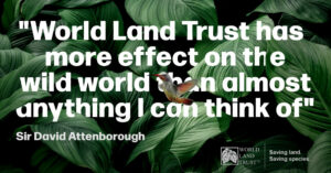 Must Be World Land Trust
