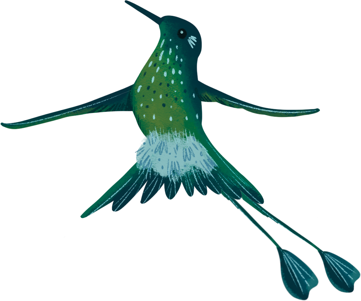 Illustrated hummingbird