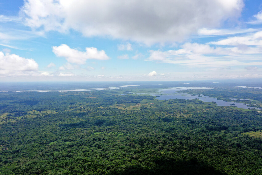 An aerial shot of a nature reserve full of dense green forest and rivers. The sky is bright blue with some clouds.
