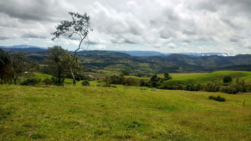 A large expanse of green grassland with undulating mountains in the background.