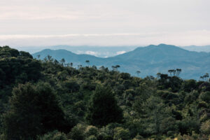 A shot of the landscape at the Guanacas Reserve, Colombia.