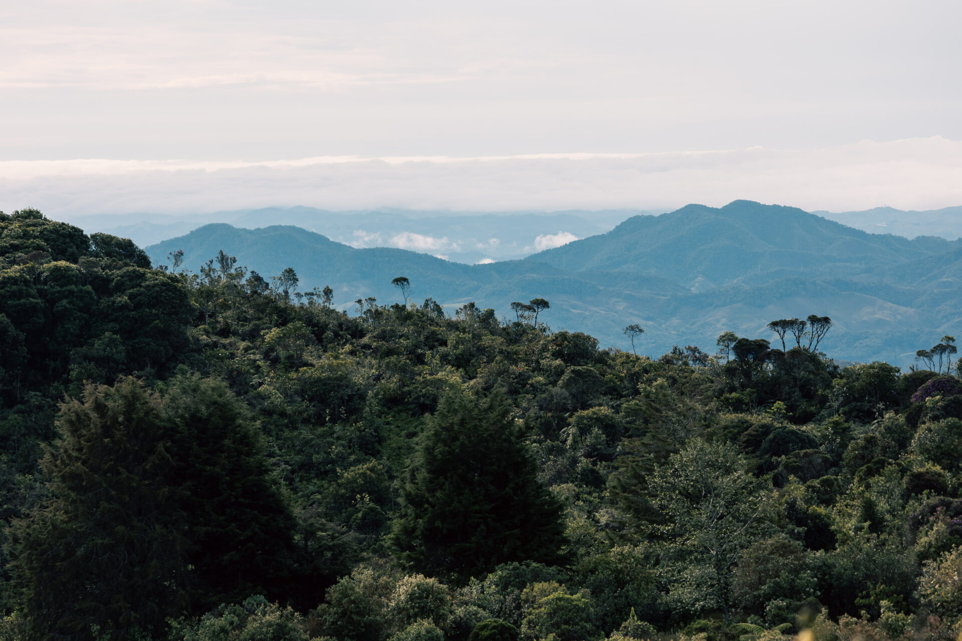 A shot of the landscape at the Guanacas Reserve, Colombia. 