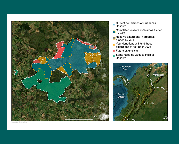 Forests of Mist appeal map