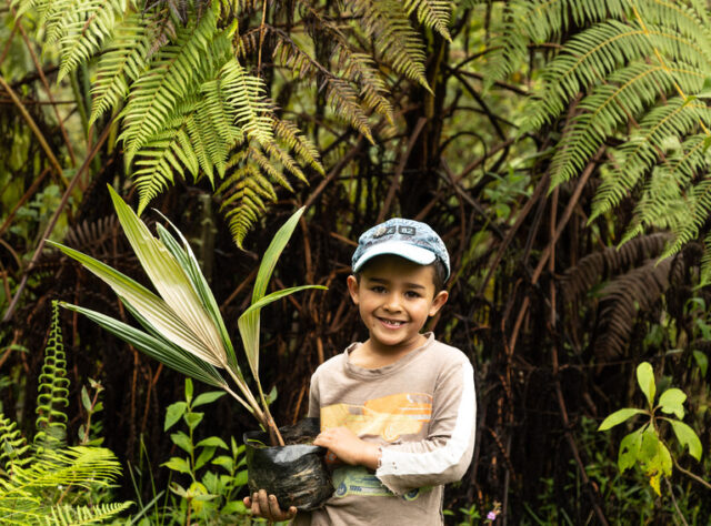 A young boy holds a tree sapling ready to be planted