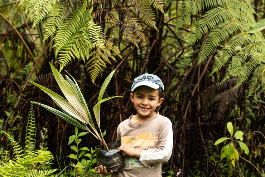 A young boy holds a tree sapling ready to be planted