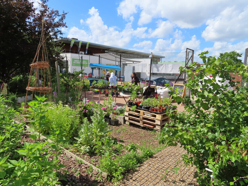 An urban farm with raised vegetable beds full of plants. The raised beds are on concrete ground and there are industrial buildings in the background. There are wooden pallets being used as a table to hold small plant seedlings.