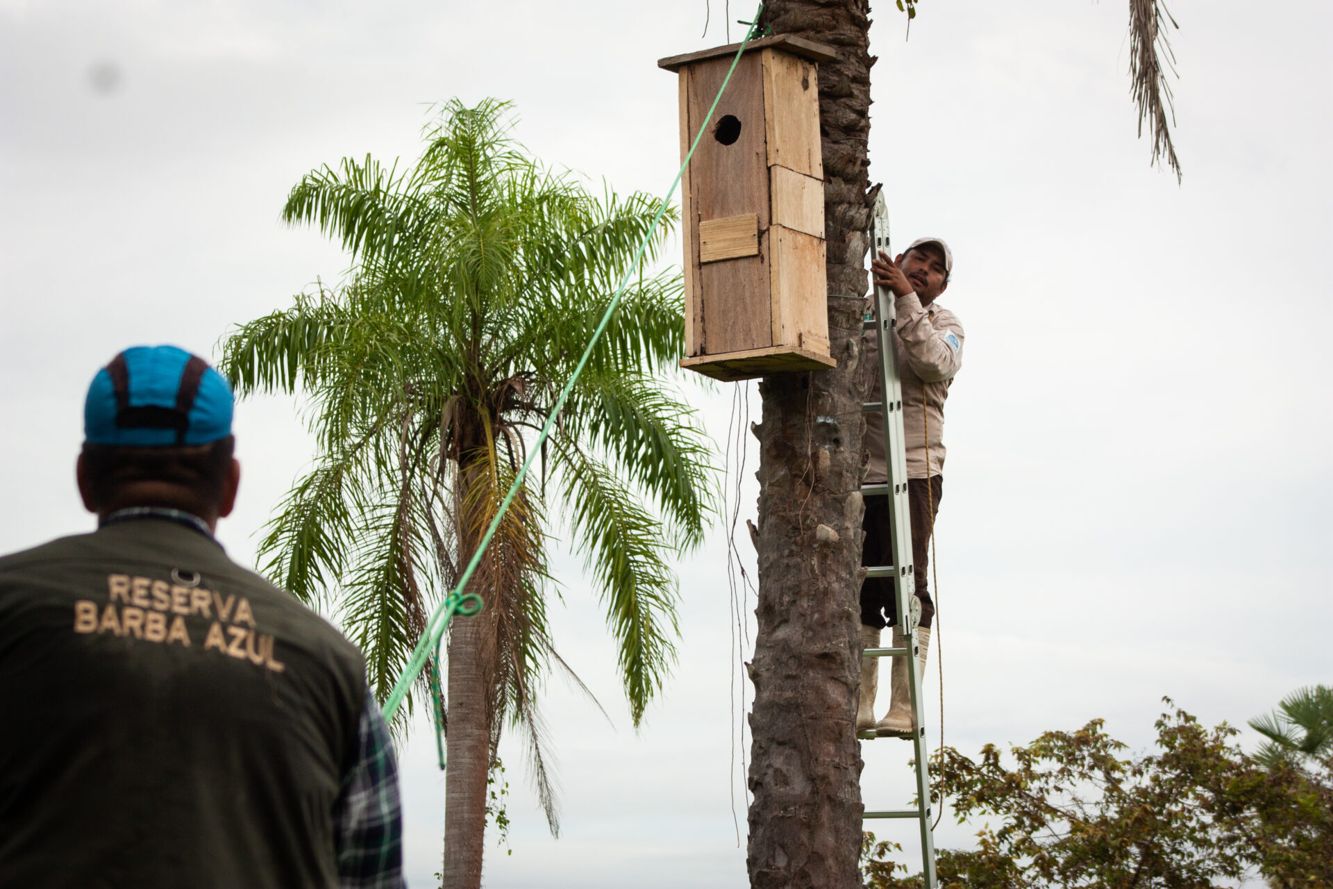 Reserve keepers install a nest box
