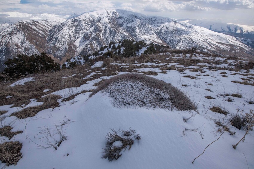 The snow covered landscape of Armenia's Caucasus Wildlife Refuge.