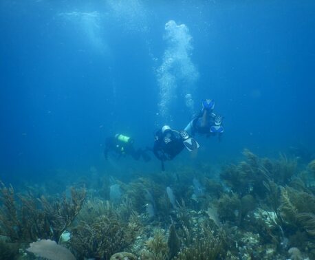 Three divers are in the sea with a coral reef below them.