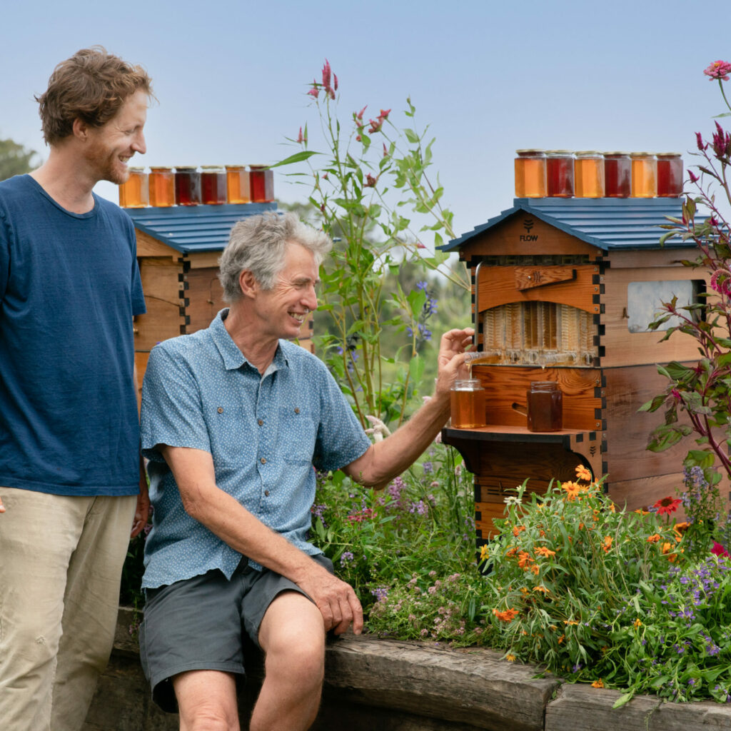 Two people are sat and stood next to a honey beehive which is in the middle of a patch of tall-growing flowers