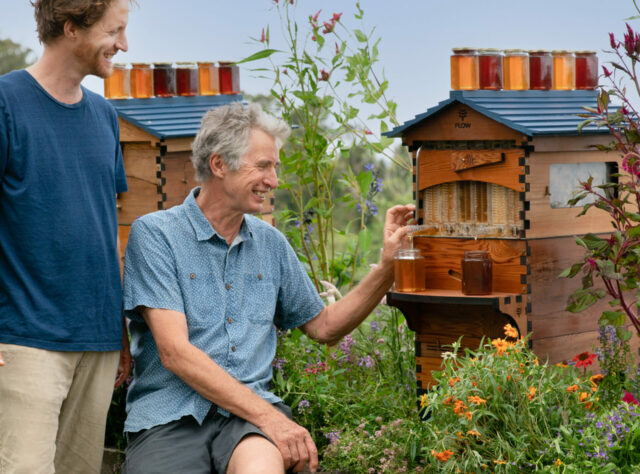 Two people are sat and stood next to a honey beehive which is in the middle of a patch of tall-growing flowers