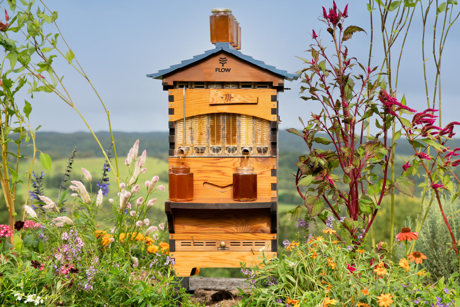 A bee hive sits in a field full of flowers and green vegetation.