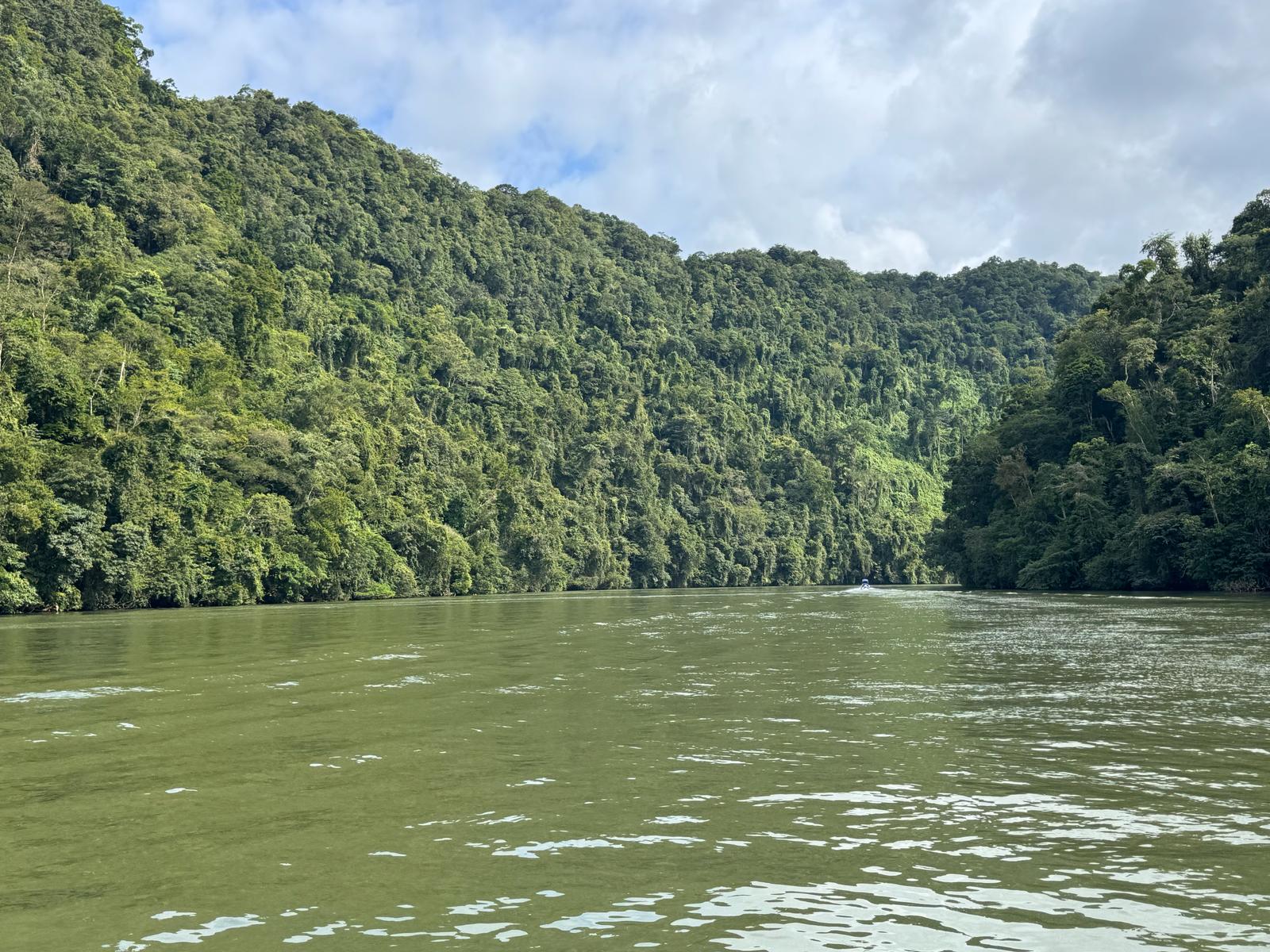 A wide river is surrounded on its banks by dense green forest.