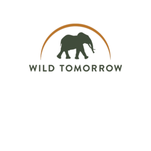 Wild Tomorrow
