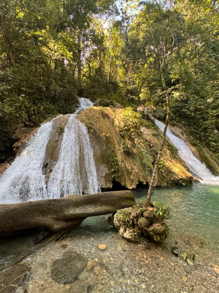 A series of small waterfalls cascade down into a pool of clear water within a forest.