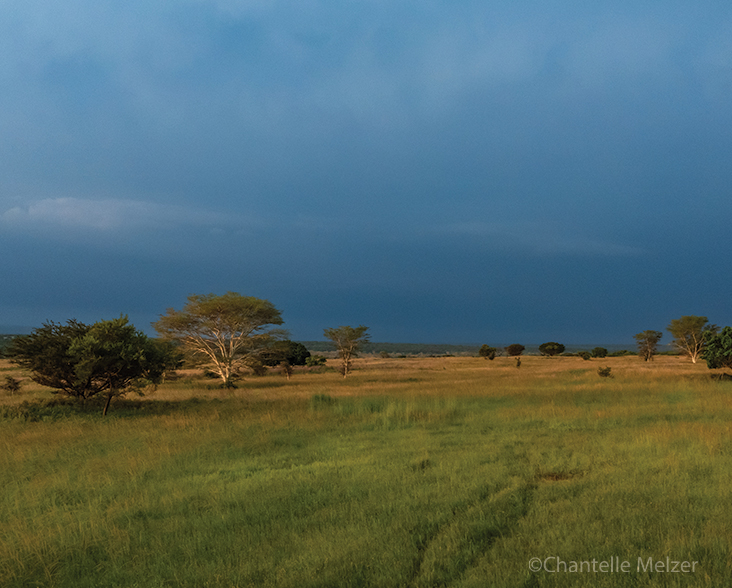 View of a Ukuwela landscape with savanna, shrubland and woodland