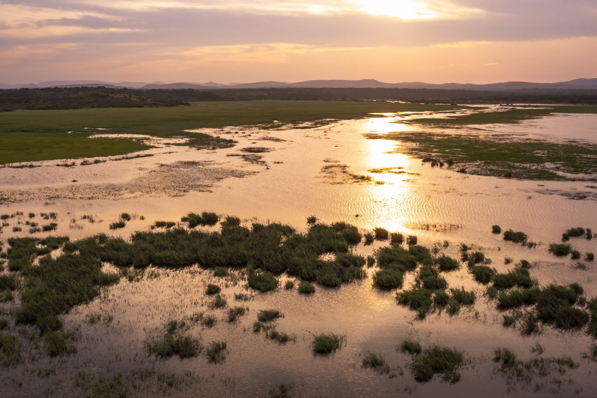 Wetlands on the Greater Ukuwela Nature Reserve_Credit: Chantelle Melzer