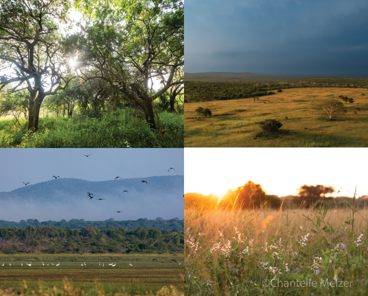 A collage of habitats at Sisonke