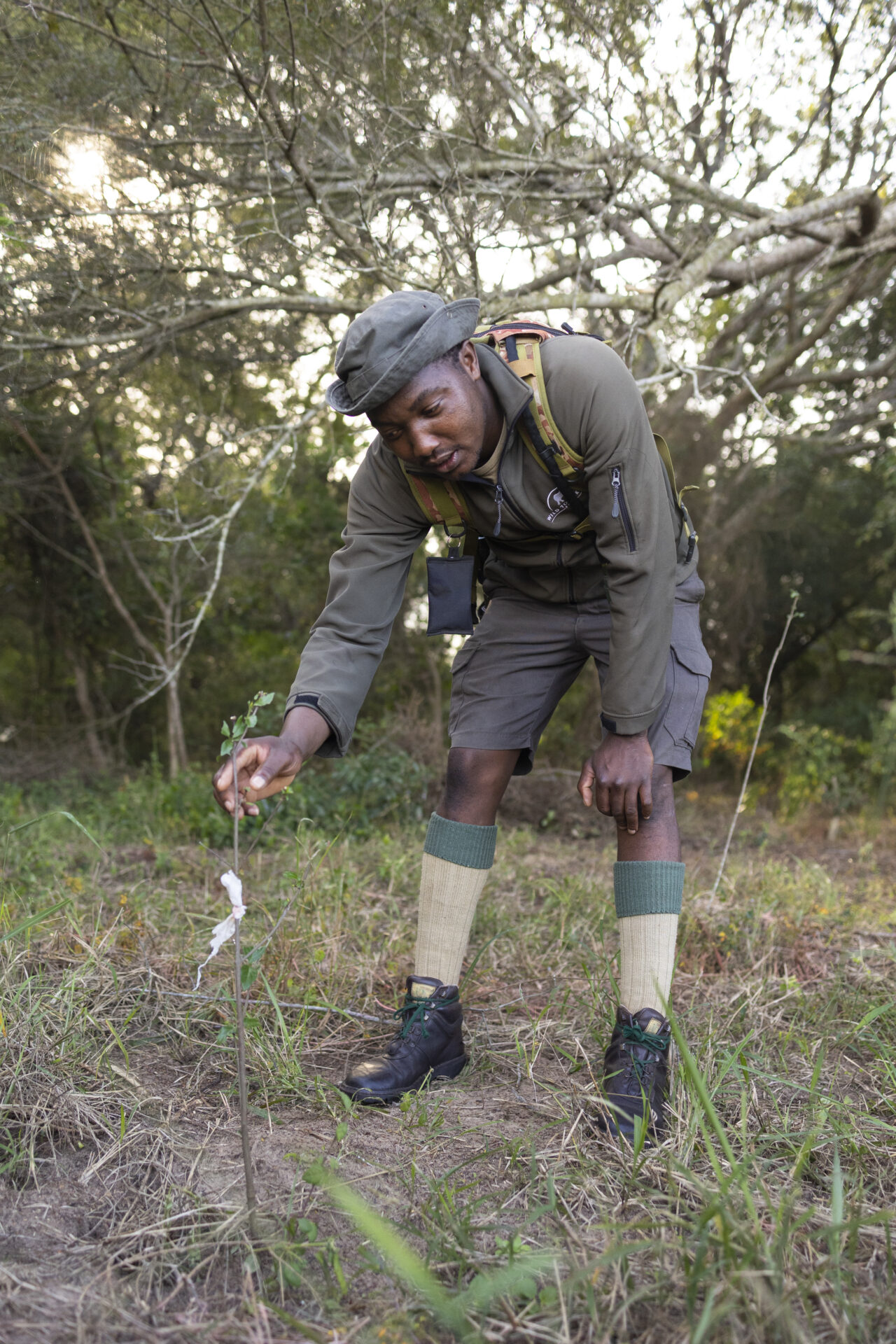Ranger Siya leans down to check on a tree sapling planted in the ground