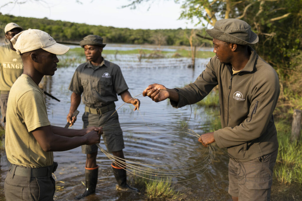 Rangers holding a large spool of wire between them