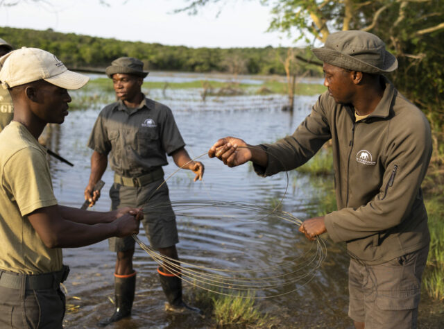 Rangers holding a large spool of wire between them