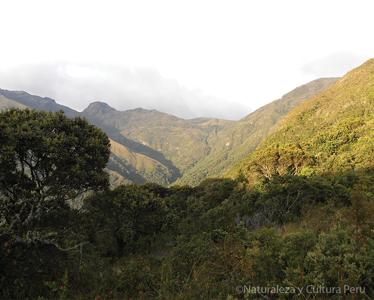 A view of an Andean valley at Yanta, Ecuador