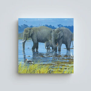 Indian Elephant greetings cards
