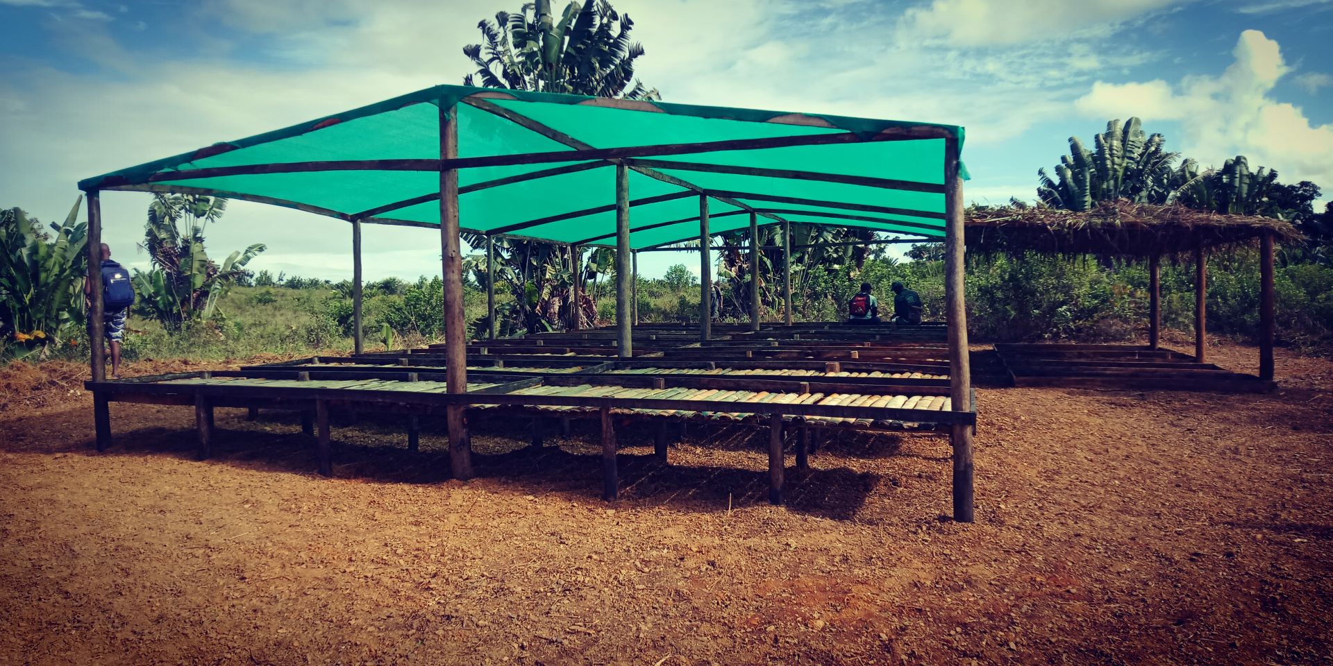 A photo of one of the new tree nurseries set up by MBG-Madagascar to increase the number of saplings they can look after. Credit: Fidy Ratovoson